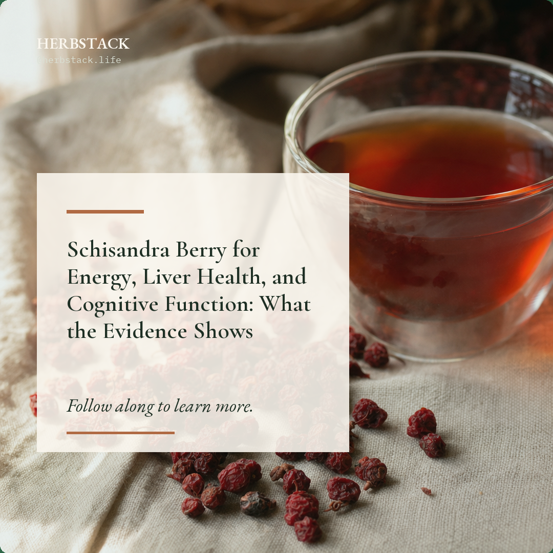 Schisandra Berry for Energy, Liver Health, and Cognitive Function: What the Evidence Shows botanical guide image