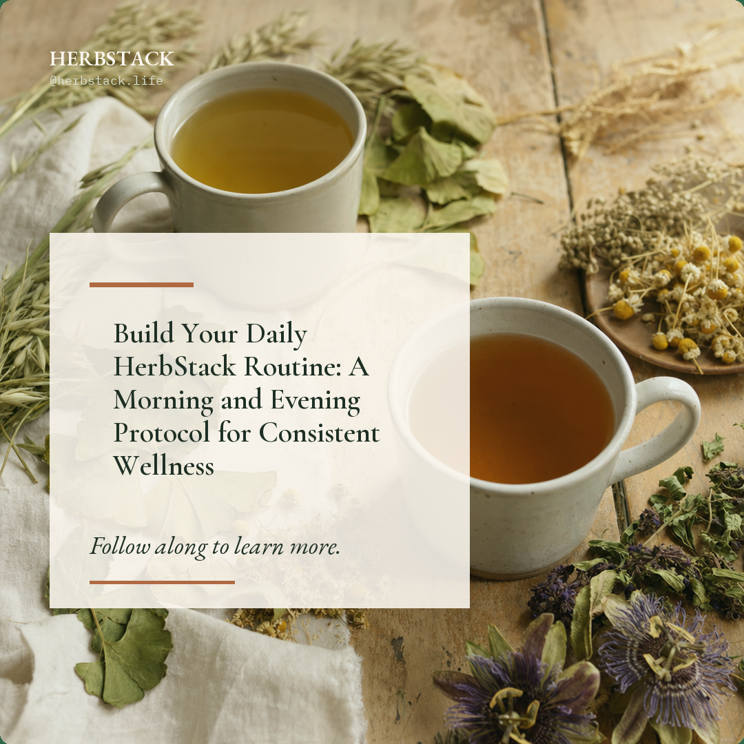 Build Your Daily HerbStack Routine: A Morning and Evening Protocol for Consistent Wellness botanical guide image